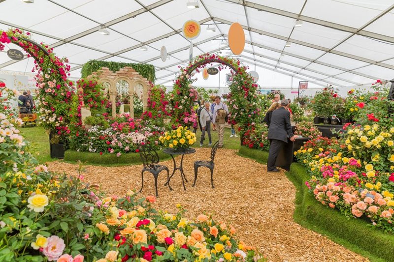 Festival of Roses at Hampton Court Palace