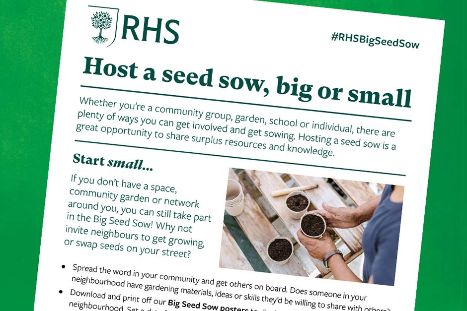 How to host a seed sow big or small
