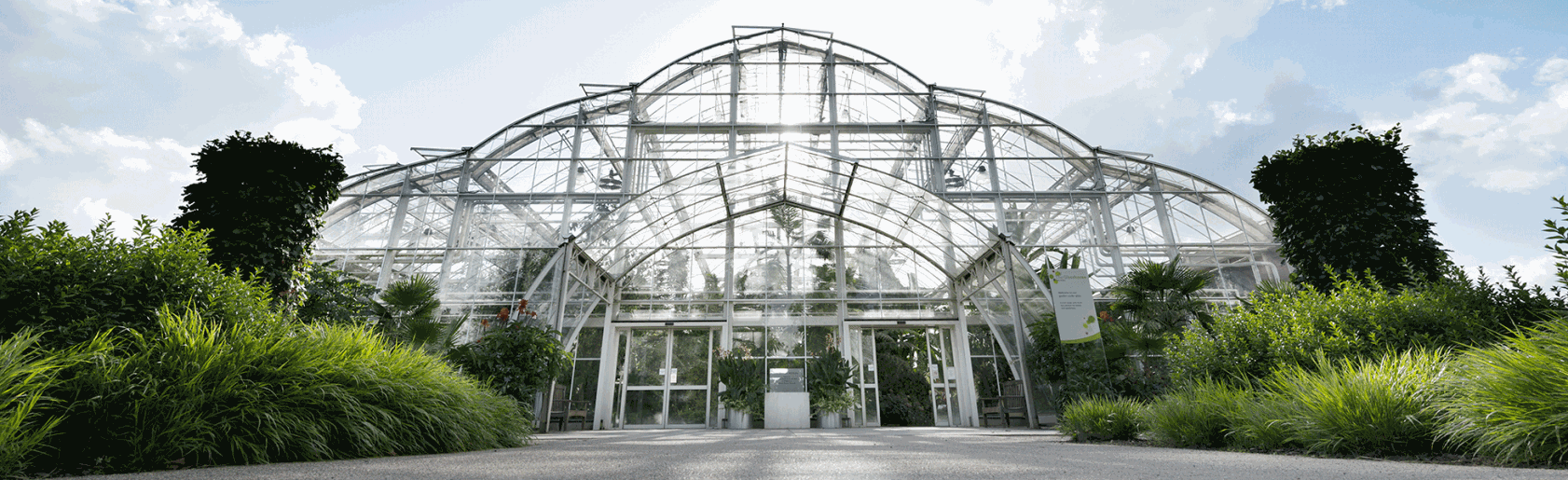 photograph of the garden