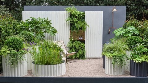 The Hot Tin Roof Garden