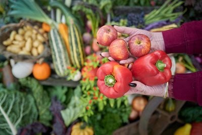 Flavours of Autumn at RHS Harlow Carr