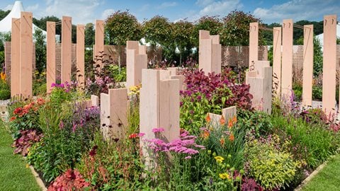 An enclosed and contemporary chill out space where you can sit and enjoy the contrasting vibrant planting scheme