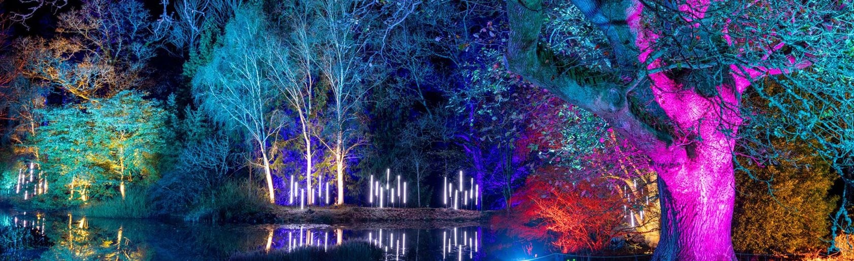 photograph of the garden