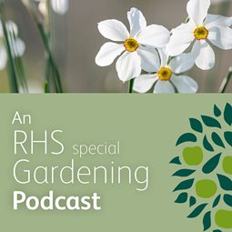 An RHS special Gardening Podcast