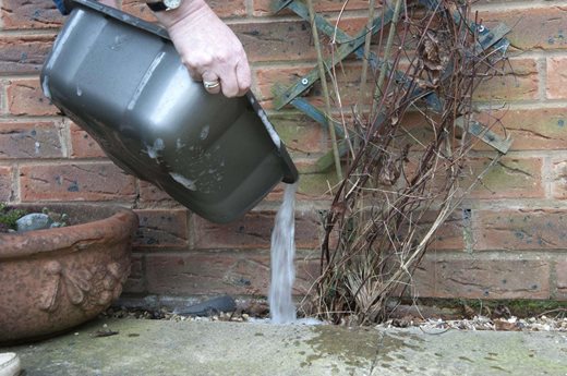 what is grey water: expert RHS advice on using grey water in gardens / RHS  Gardening
