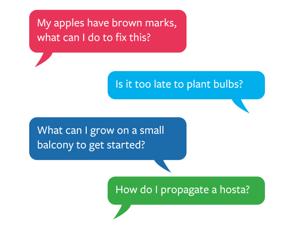 My apples have brown marks, what can I do to fix this?