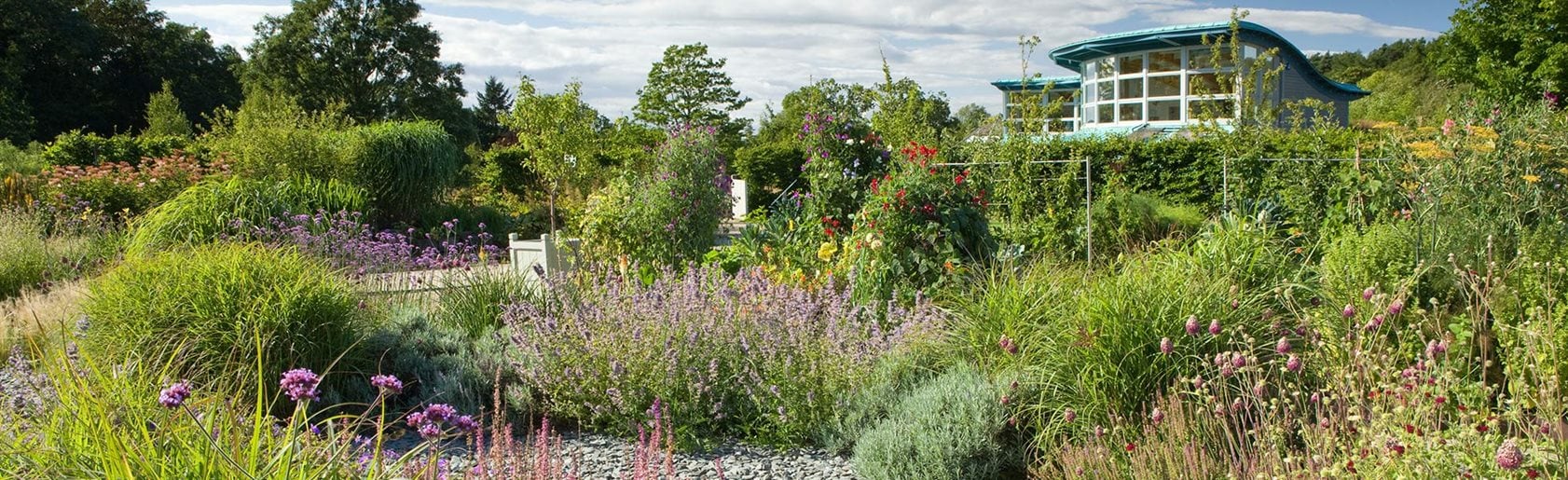 photograph of the garden