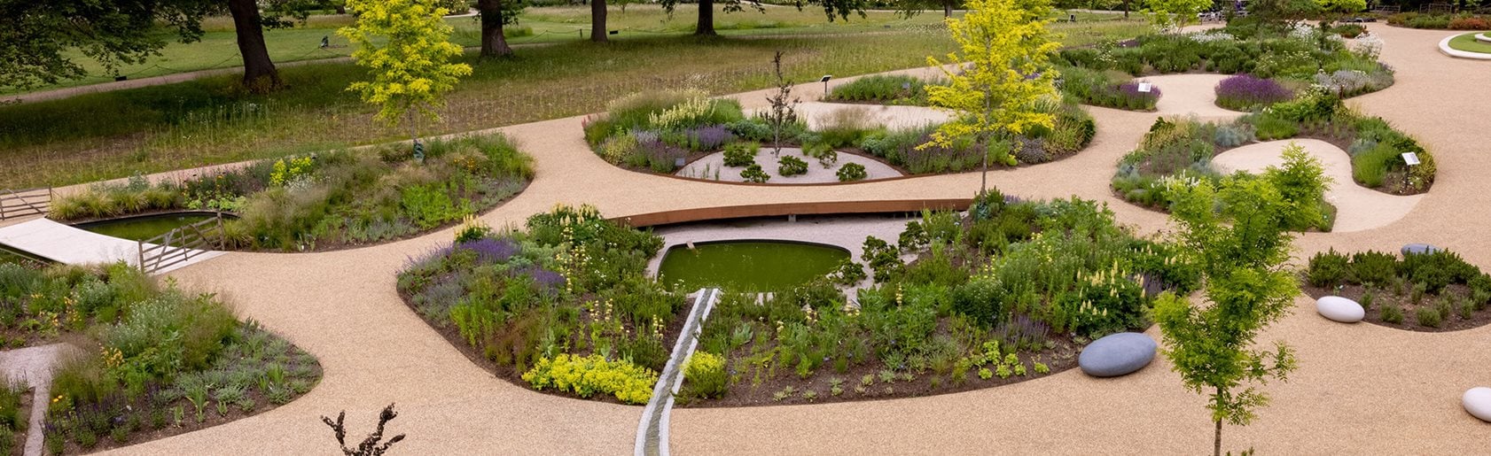 photograph of the garden