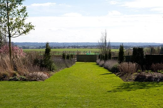 View across the garden borders