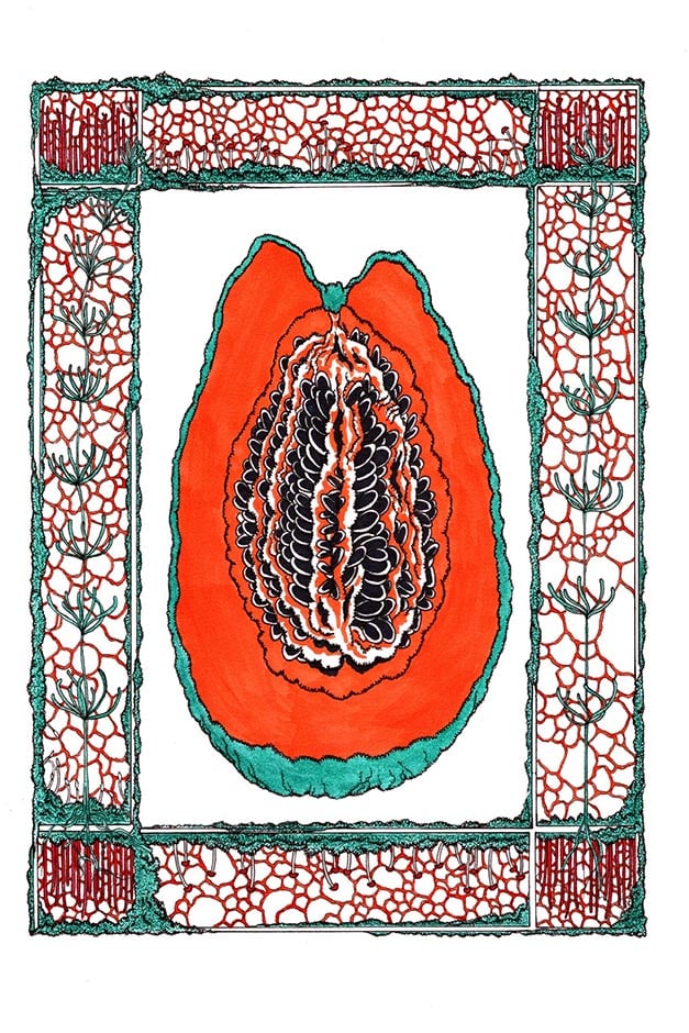 Papaya artwork