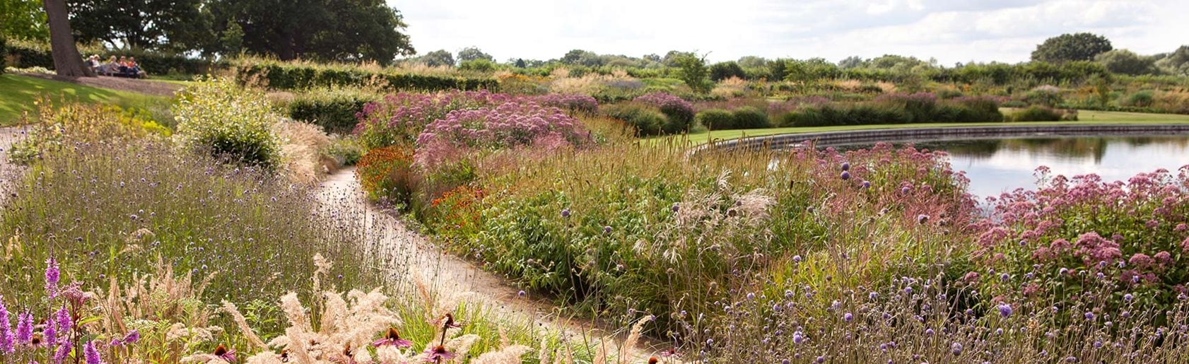photograph of the garden