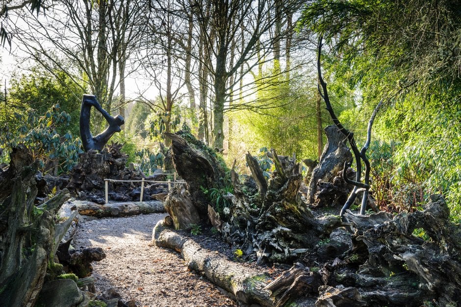 model.mustReadImage.alternativeText