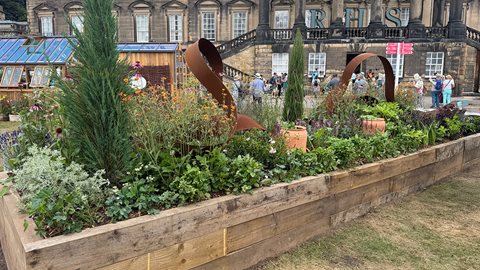 York Gin Botanical Border