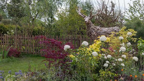 Informal woodland planting sets a serene scene for these driftwood sculptures