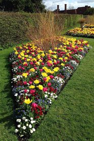 Traditional bedding: does it still have a place in our parks and gardens? - Wisley, Spring 2014
