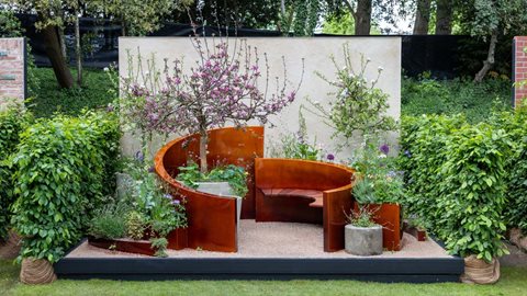 Alzheimer’s Society: Microbes and Minds Garden