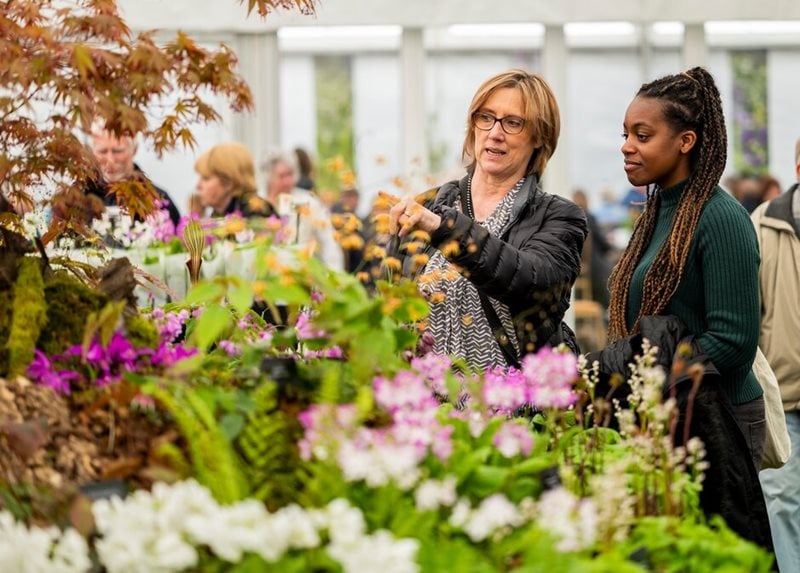Visitors in the Floral Marquee