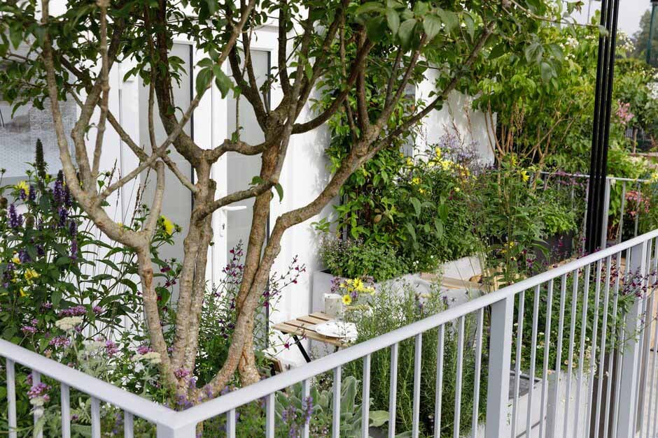 RHS guide to roof gardens and balconies