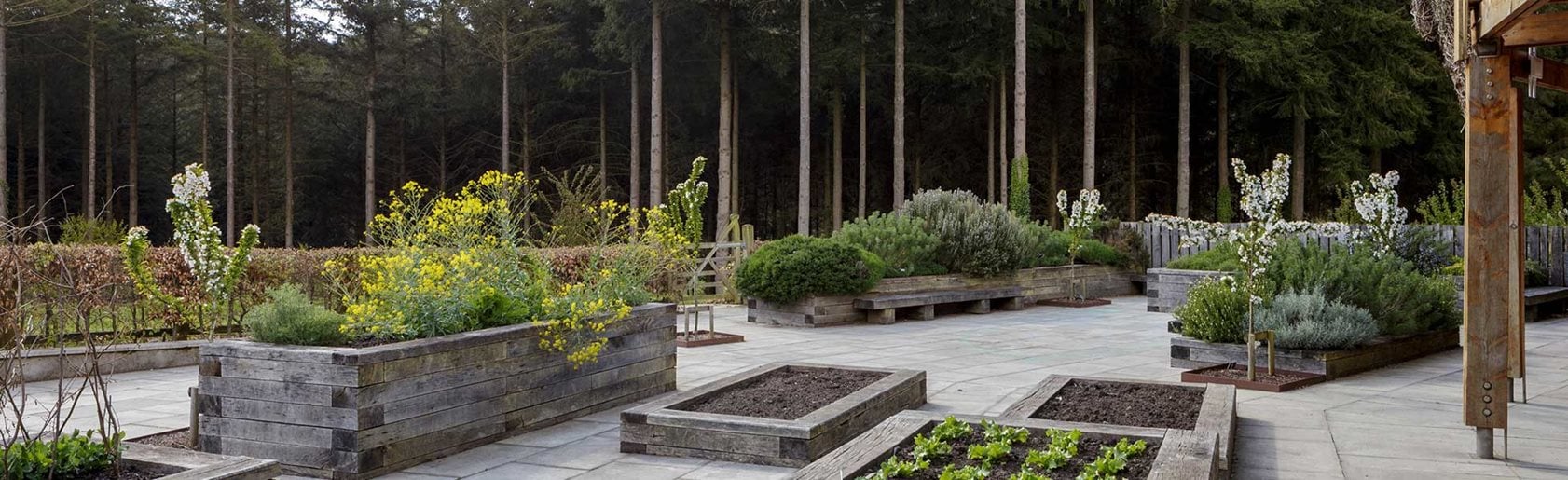 photograph of the garden