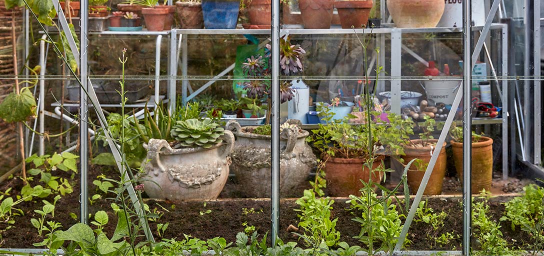 white plastic plant containers 7-Inch White Plastic Pot and Saucers for Indoor and Outdoor Plants at  Planet Desert
