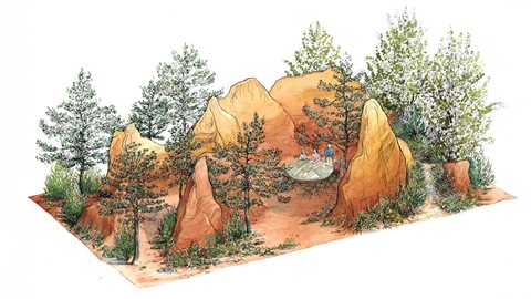 The Project Giving Back Garden