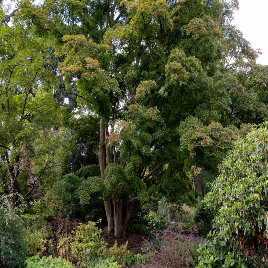 Inject a shot of yellow into darker corners