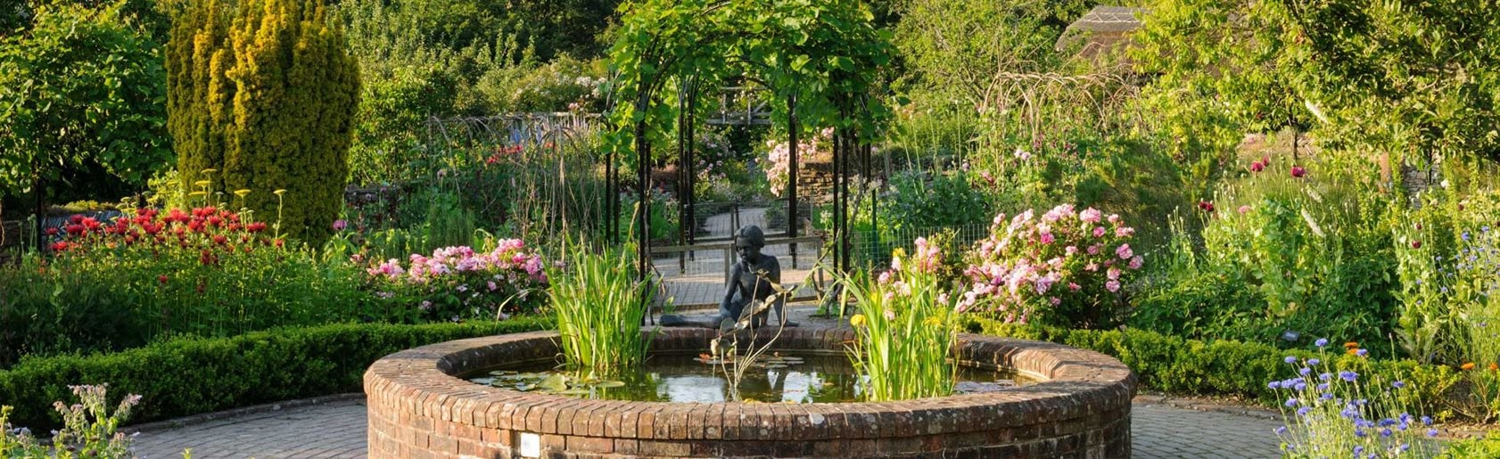 photograph of the garden