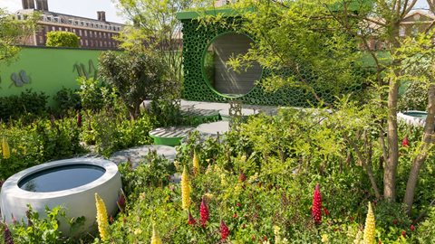A contemporary and educational space – designed to show how edible plants can be grown beautifully in gardens at home.