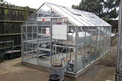 Its always worth the effort to keep your glasshouse clean