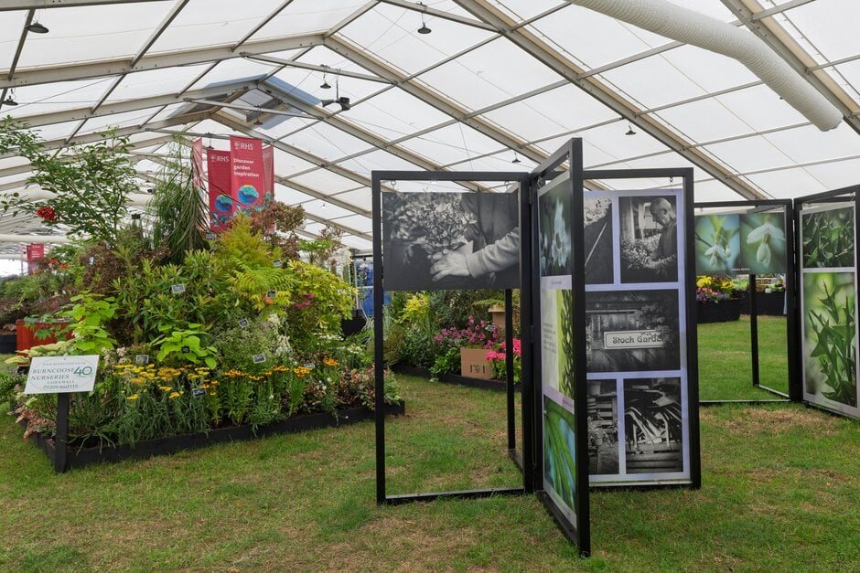 Floral Marquee at RHS Hampton Court 2025