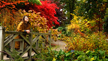 Visit Wisley in autumn