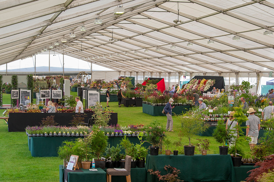 The Floral Marquee at RHS Tatton Park