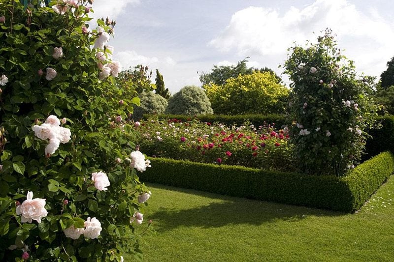 Hyde Hall's Modern Rose Garden