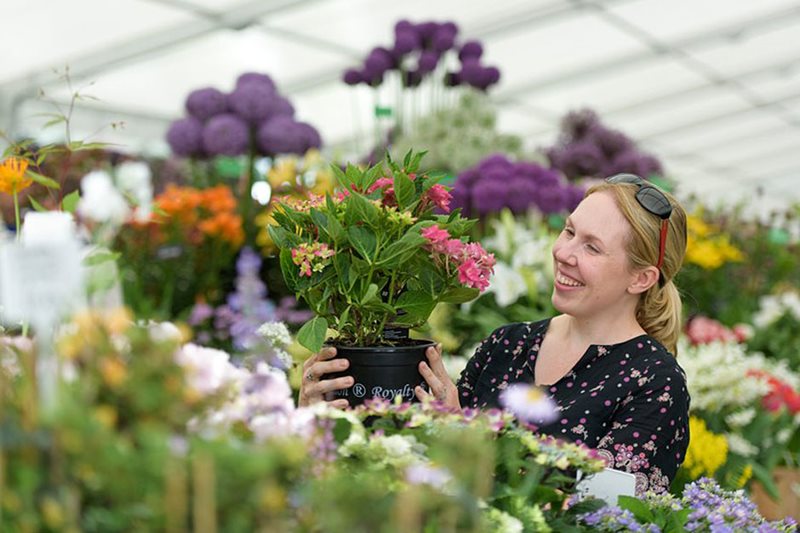 a visitor in the floral marquee