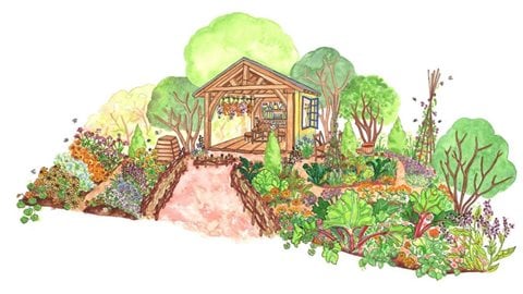 The RHS and The King’s Foundation Curious Garden