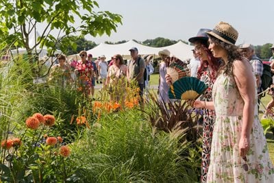 Hyde Hall Flower Show