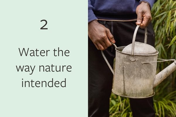 2. Water the way nature intended