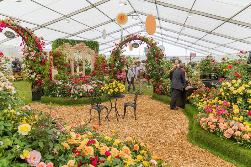 Peter Beales' display at the Festival of Roses 2017
