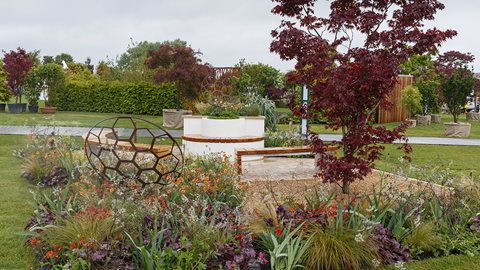 The colours and idea behind this garden are inspired by the astronomical phenomenon of redshift - the subject of the designers Physics Masters dissertation
