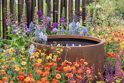 Go wild with colour, seen here on the Beauty is in the Eye of the Beholder border