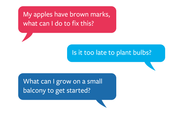 My apples have brown marks, what can I do to fix this?