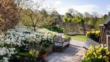 Visit Harlow Carr in spring