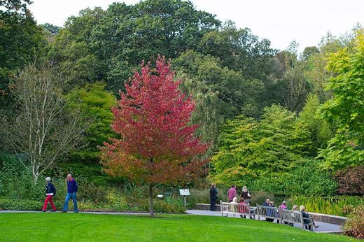 visitors enjoying a garden walk