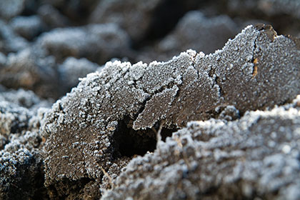 severe frost