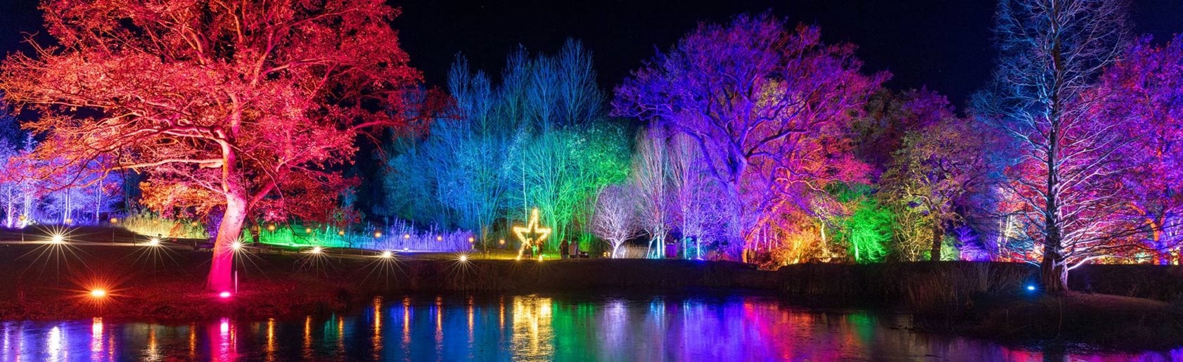 photograph of the garden