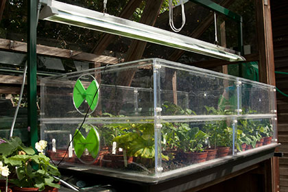 heated propagator