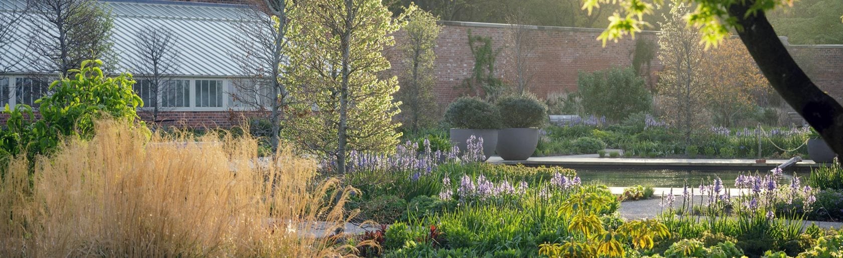 photograph of the garden