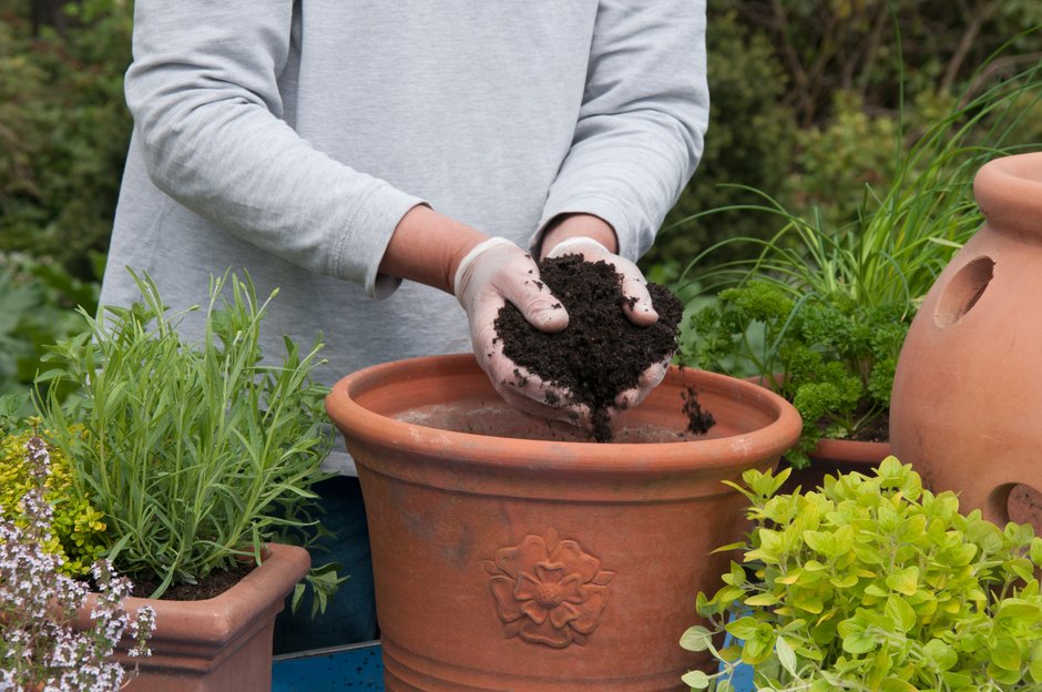 How to make your own potting mix / RHS Gardening