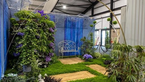 Dibley’s Houseplant Sanctuary
