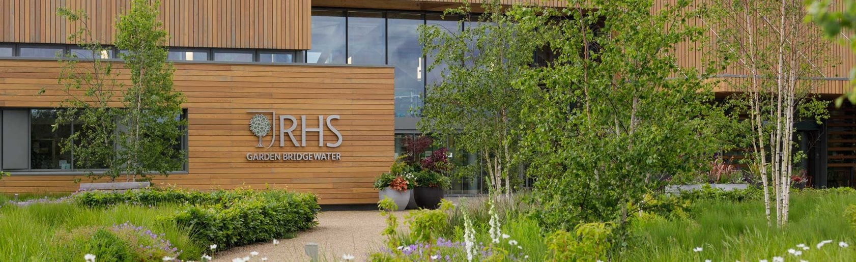 photograph of the garden